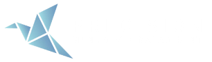 Precision Spine & Pain Management